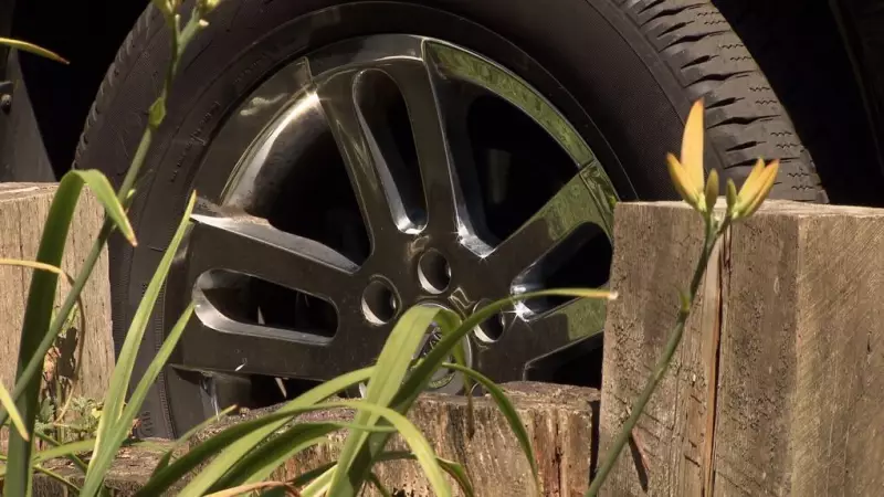 Brazen Guelph Heist: Thieves Make Off With Dozens of Vehicle Rims in Overnight Operation