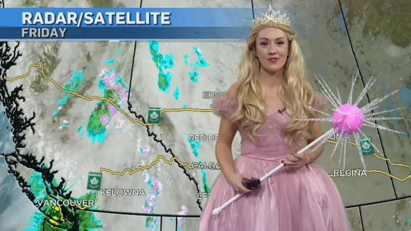 Calgary's Unseasonable November Warm-Up: Windy Weather Sweeps Through Alberta