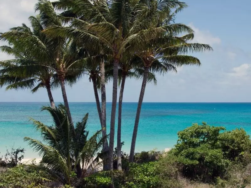 Cruise Passenger Left Behind on Remote Island Found Dead After Desperate Search