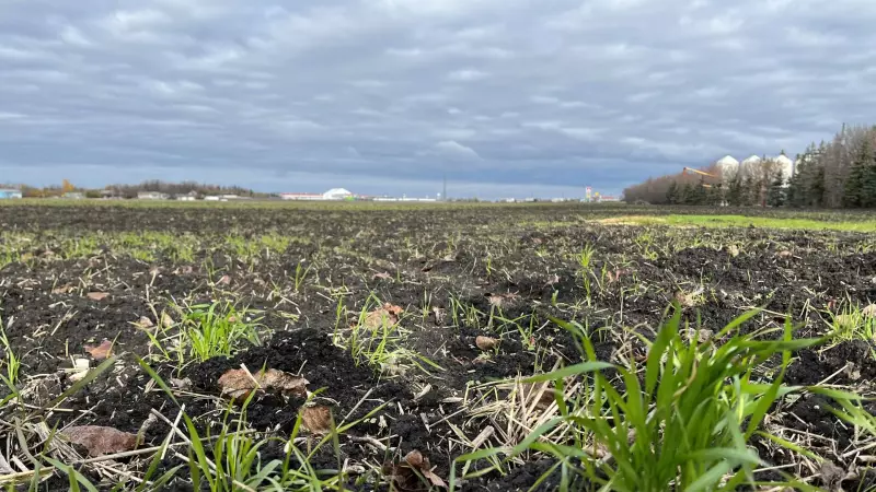 Oak Bluff Family Farm Faces Expropriation for Highway Interchange - 'It Means Everything'