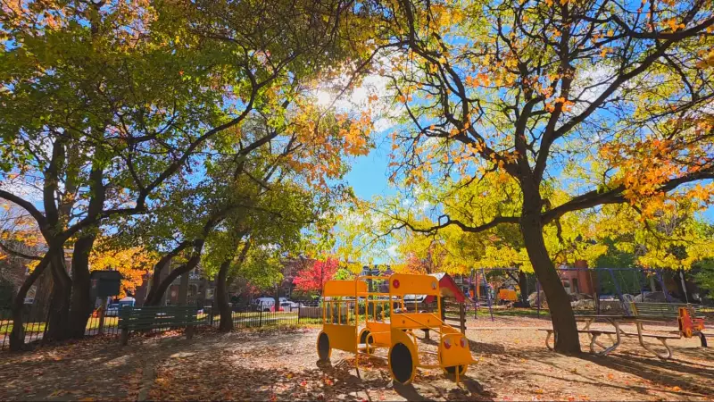 Ottawa Weather Rollercoaster: Sunshine Today, Soaking Rain Expected Thursday