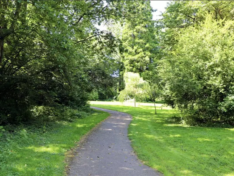 Surrey Rebrands Senator Reid Park as North Ridge Park in Community-Focused Move