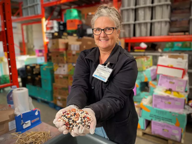 University of Guelph Transforms 5,000 Pounds of Research Beans into Food Bank Lifeline