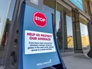 Avian Flu Outbreak at Calgary Petting Zoo Raises Alarm: What You Need to Know