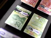 Bank of Canada Holds Steady: No Rate Cuts Coming Soon, Experts Warn