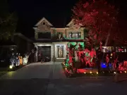 Blue Jays Zombies Take Over Toronto: Halloween Meets World Series Fever