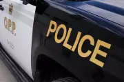 Brampton Duo Busted in Elaborate Carjacking Hoax and Insurance Fraud Scheme