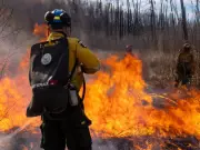 Canada's Wildland Firefighters Demand First Responder Status: Why Their Fight Matters