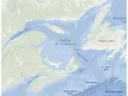 Contender's Return: Ocearch Tracks Massive 1,644-Pound Great White Shark in Canadian Waters