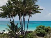 Cruise Passenger Left Behind on Remote Island Found Dead After Desperate Search