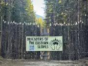 Environmental Activists Halt Logging Operations in Kananaskis Country With Road Blockade