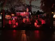 Spooky Fun & Fall Festivities: Your Ultimate Guide to Windsor's October Events