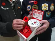 Where to Find Poppies in Calgary: Complete 2023 Guide to Honouring Our Veterans