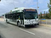 Winnipeg Transit Driver Shot With Pellet Gun in Shocking Assault Following Dispute