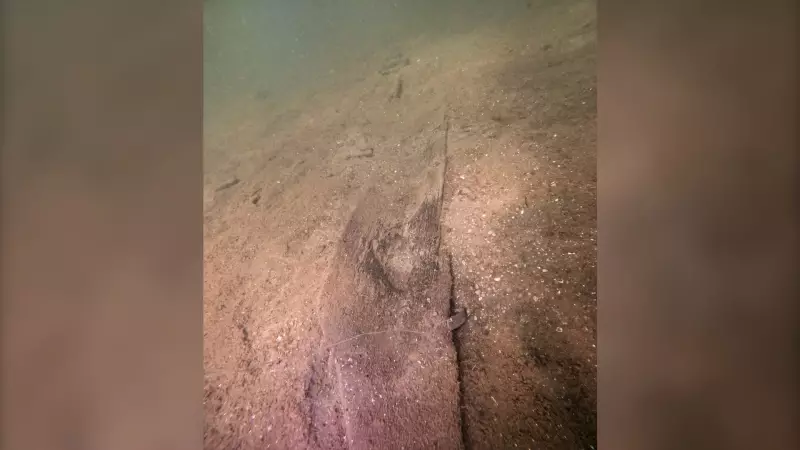 16 Ancient Canoes Discovered in Wisconsin Lake's Prehistoric 'Parking Lot'