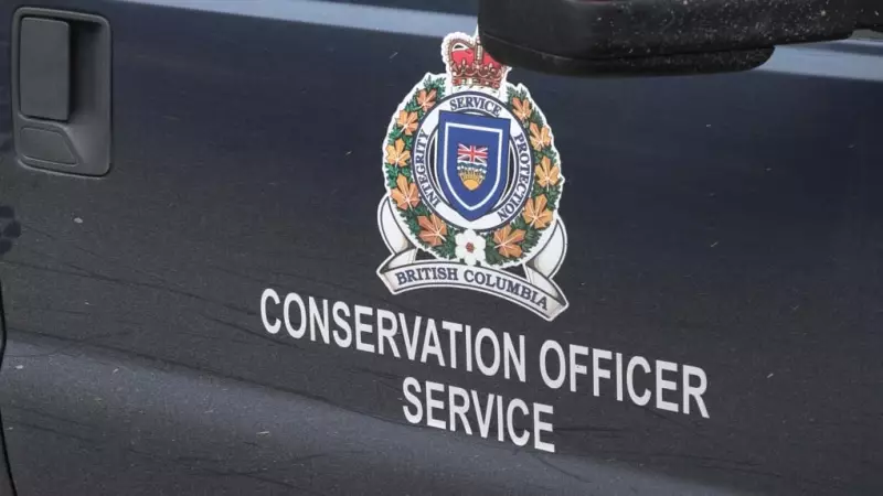 17 Charges Laid in Major B.C. Wildlife Trafficking Investigation