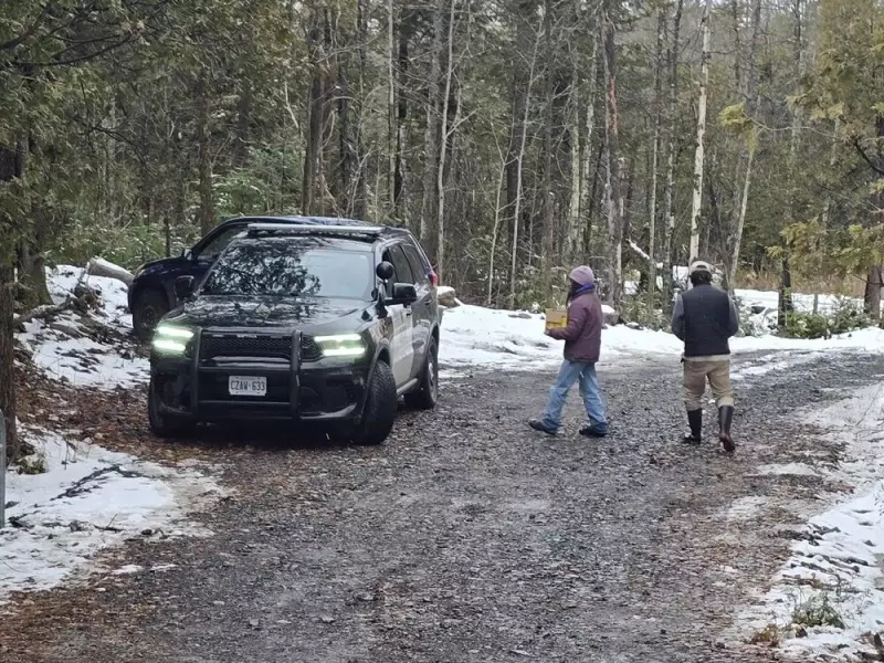 28-Year-Old Île-Bizard Pilot Dies in Mid-Air Collision Near Martintown