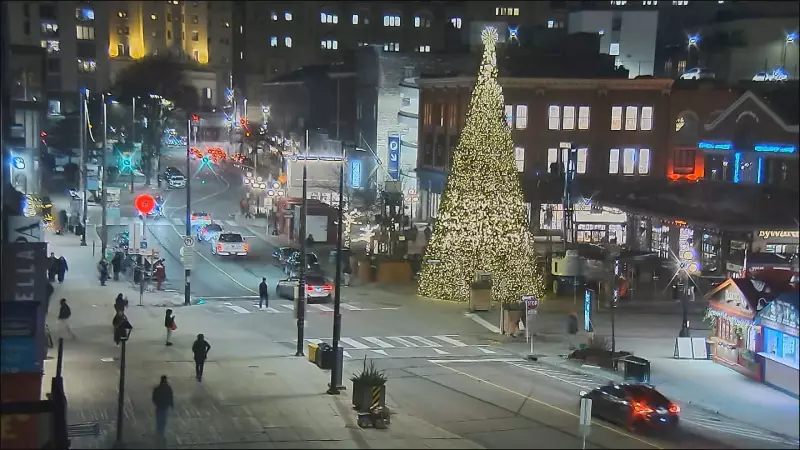 48-Foot Christmas Tree Lights Up Ottawa's ByWard Market