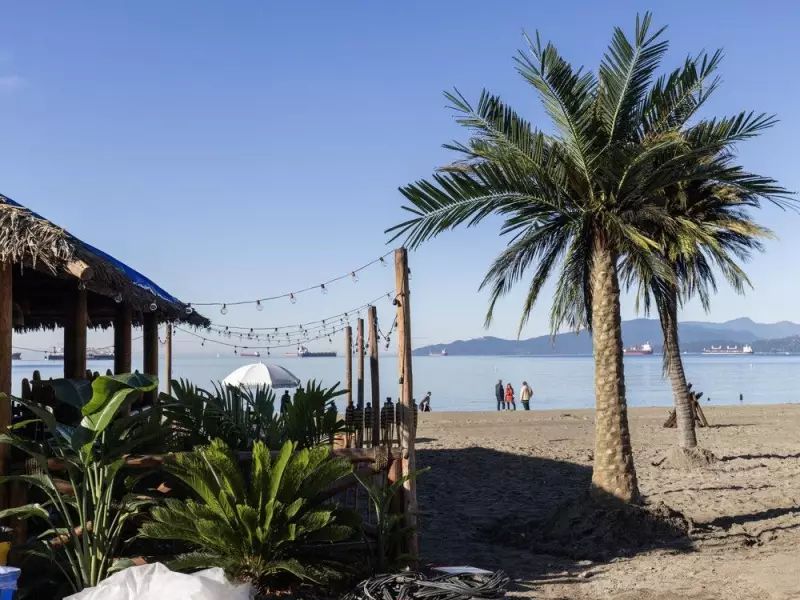 Aaron Sorkin's Chilly Vancouver Beach Bar Experience Sparks Social Network Sequel Buzz