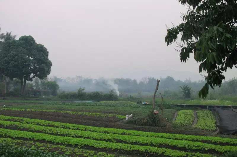 American Father and Son Perish in Tragic Laos Ziplining Accident After Vicious Wasp Attack