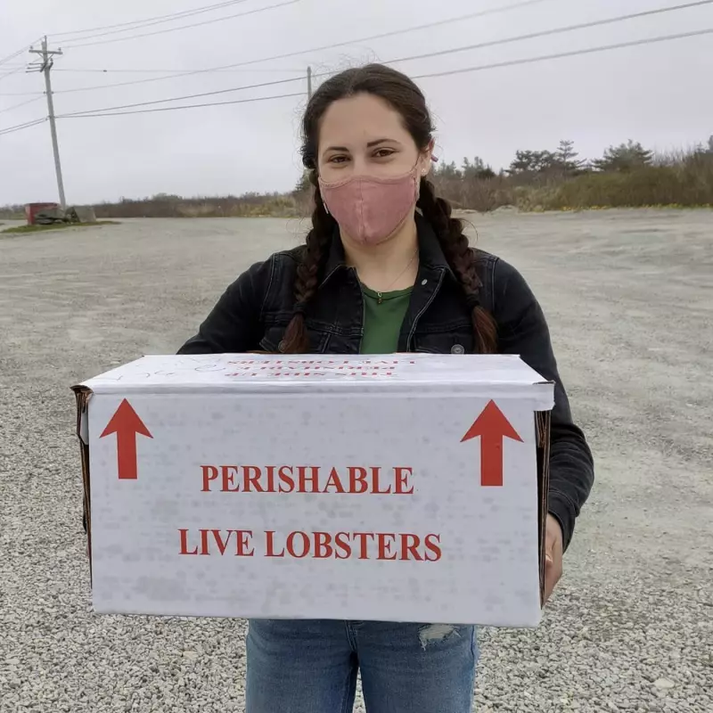 Atlantic Alarm: Microplastic Contamination Found in Nova Scotia Lobsters