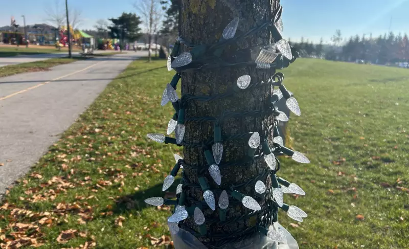 Barrie Police Decry 'Grinch-like' Theft of Waterfront Holiday Display