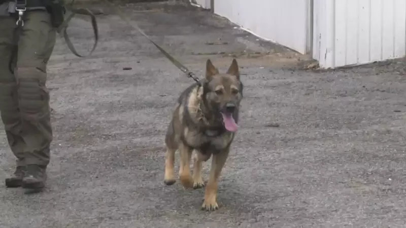 Barrie Police Investigate Serious Downtown Assault