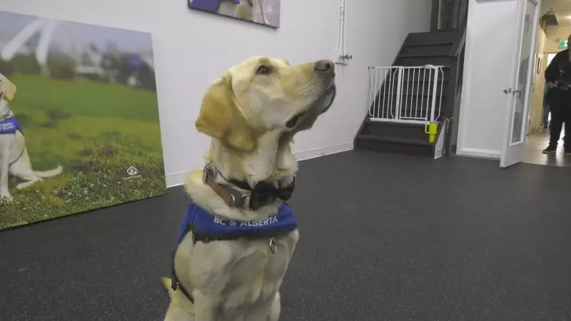 B.C. and Alberta Guide Dogs Opens Permanent Edmonton Training Facility