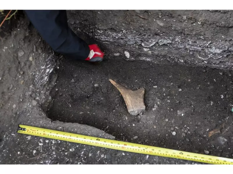 B.C. Municipalities Reject Rushed Heritage Act Overhaul