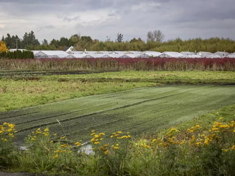 BC Premier Clashes with Courts Over Indigenous Land Rights and Private Property | Vancouver Sun Analysis