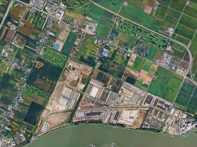 B.C. Property Crisis: How Courts and Governments Created the Turmoil