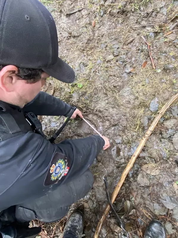 Bella Coola Bear Attack Prompts School Lockdown and Door-to-Door Safety Measures