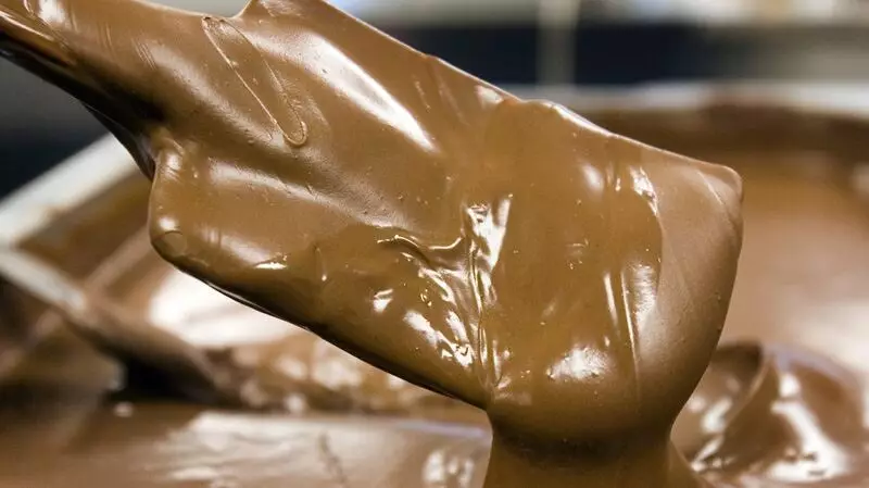 Bitter Chocolate Reality: Barry Callebaut Profits Melt Under Soaring Cocoa Prices
