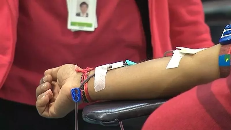 Bloody Good Drag: Nova Scotia Artists Boost Blood Donations