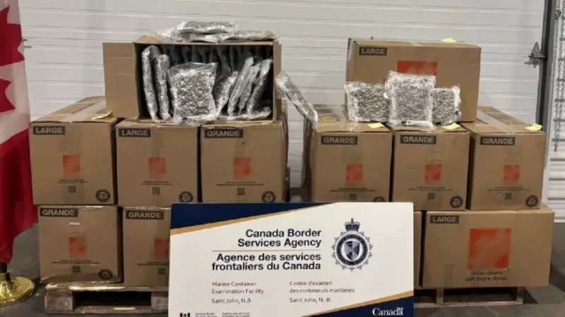 Border Agents Seize 218kg of Cannabis in Saint John Port