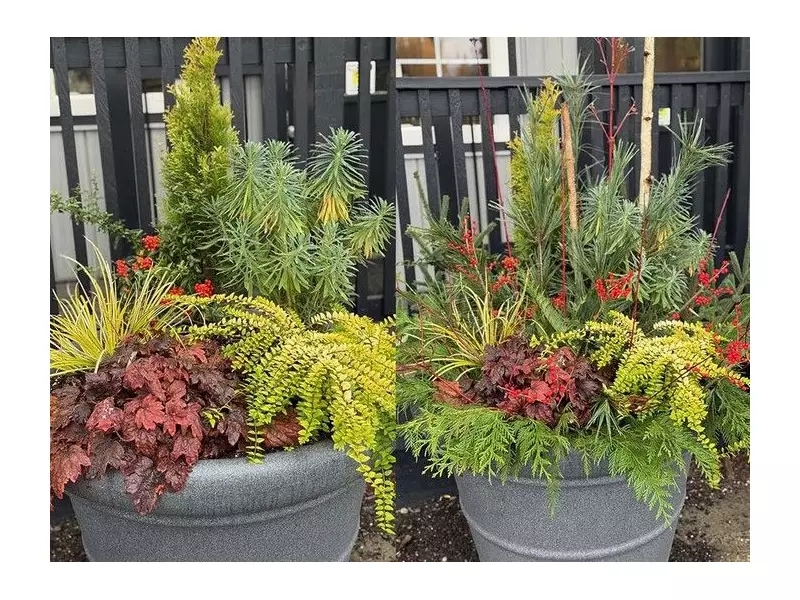 Brian Minter's Guide to Festive Winter Porch Pots for Canadian Homes