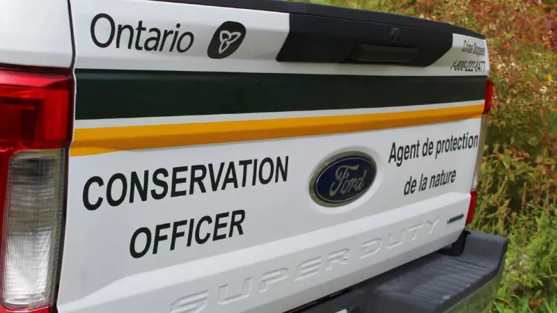 Bull Moose Illegally Killed Near Dryden: Authorities Seek Public Help