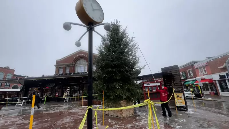 ByWard Market Tree Lighting Ceremony Steps into Spotlight on Nov 21