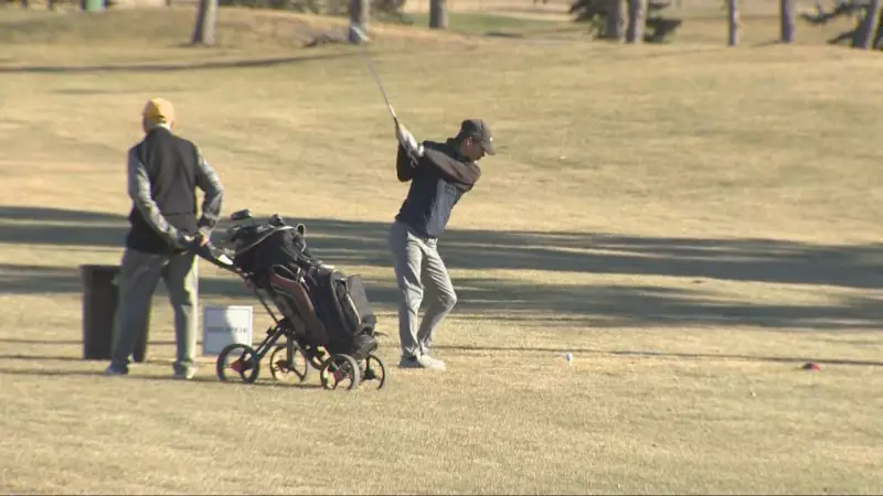 Calgary Golf Course Defies Winter: Greens Remain Open Despite Snowfall