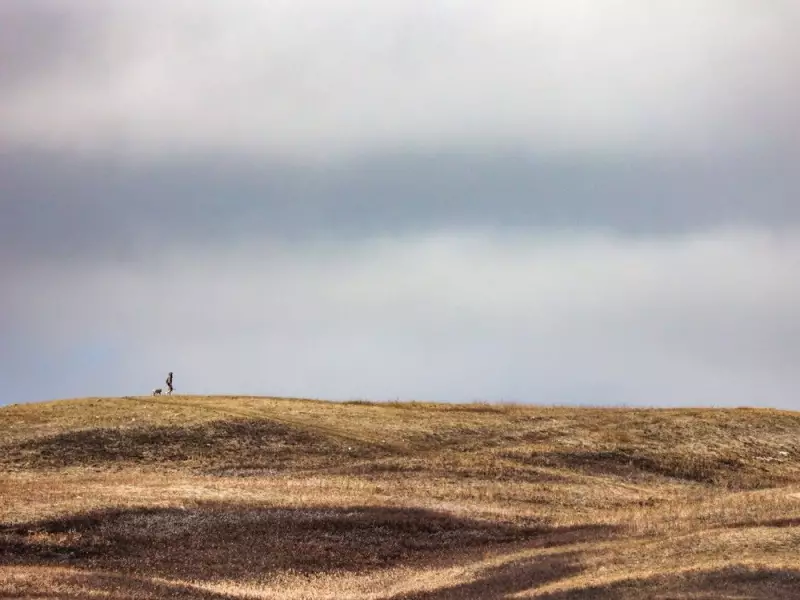 Calgary Police Investigate Human Remains Found at Nose Hill Park
