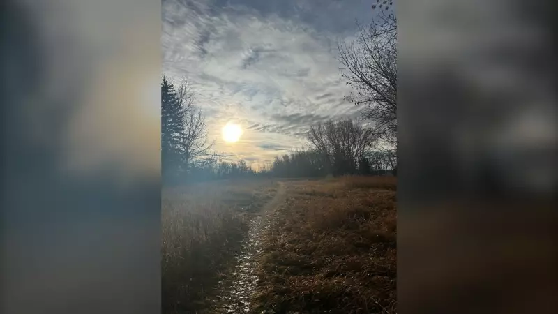 Calgary Weather: Mild Week Ahead Before Deep Freeze Next Week