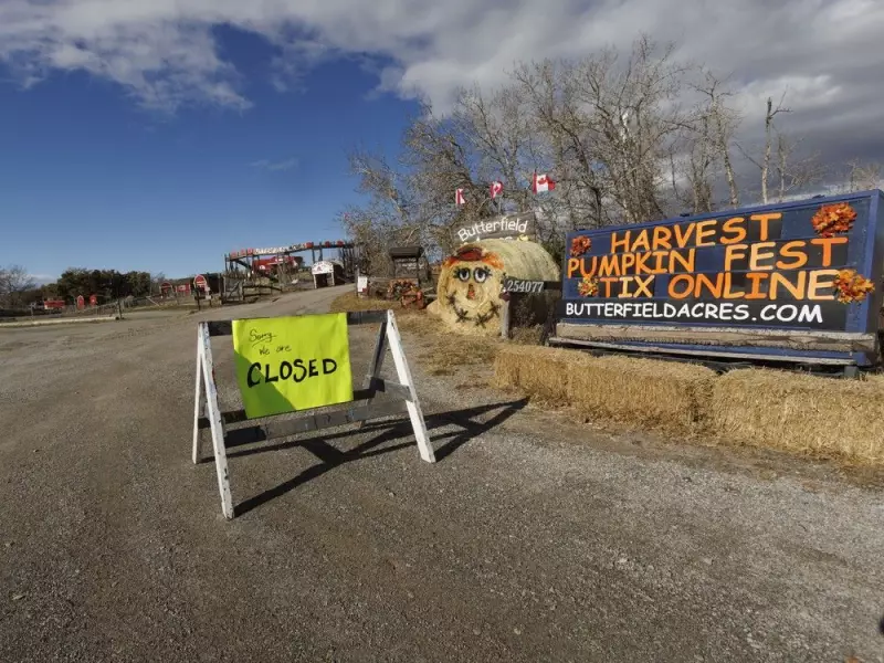 Calgary's Butterfield Acres Reopens After Bird Flu Closure
