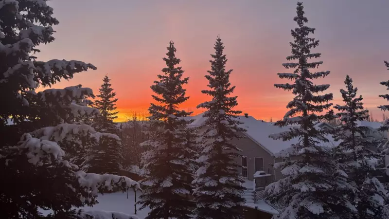 Calgary's Deep Freeze Eases: Weekend Weather Shift Ahead