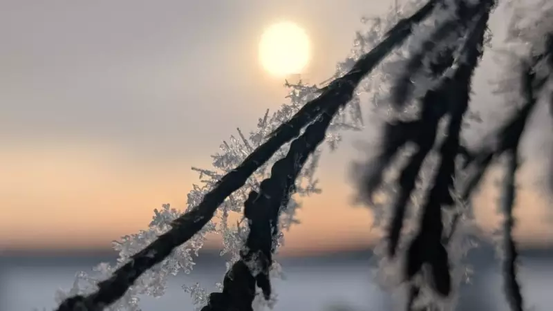 Canada's First Major Snowfall Hits Ontario & Quebec With Up to 20 cm