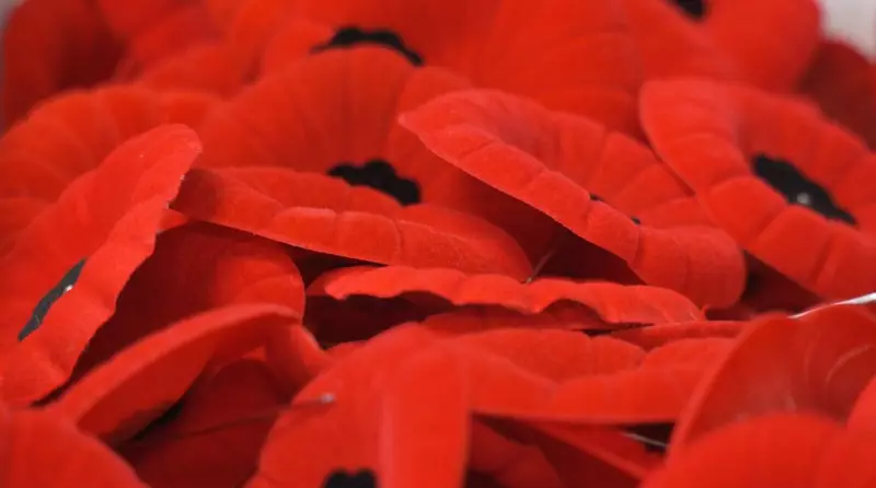 Canada's Iconic Poppy Campaign Returns: How to Wear Your Remembrance with Pride