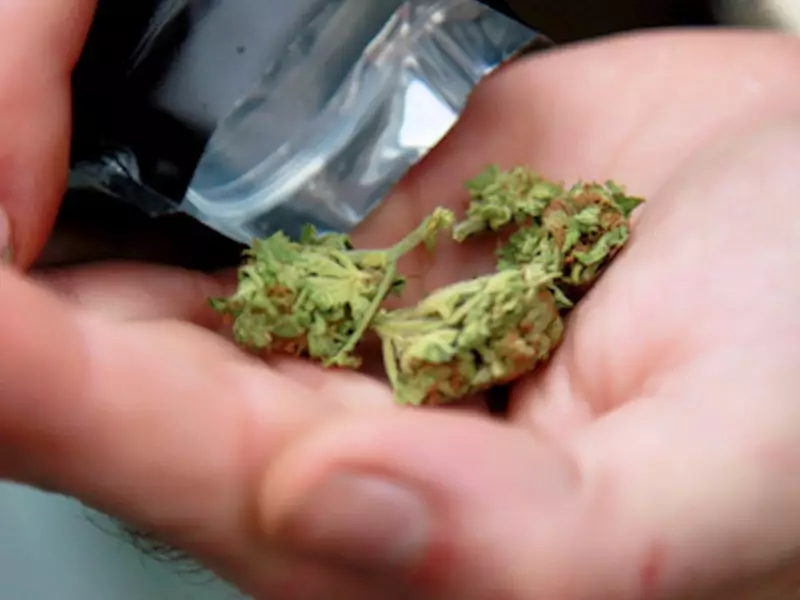 Carney Budget Cuts 10% from Veterans' Cannabis Program