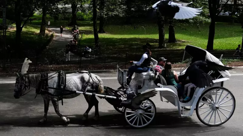 Central Park Horse Carriages Survive Ban Vote After Contentious Debate
