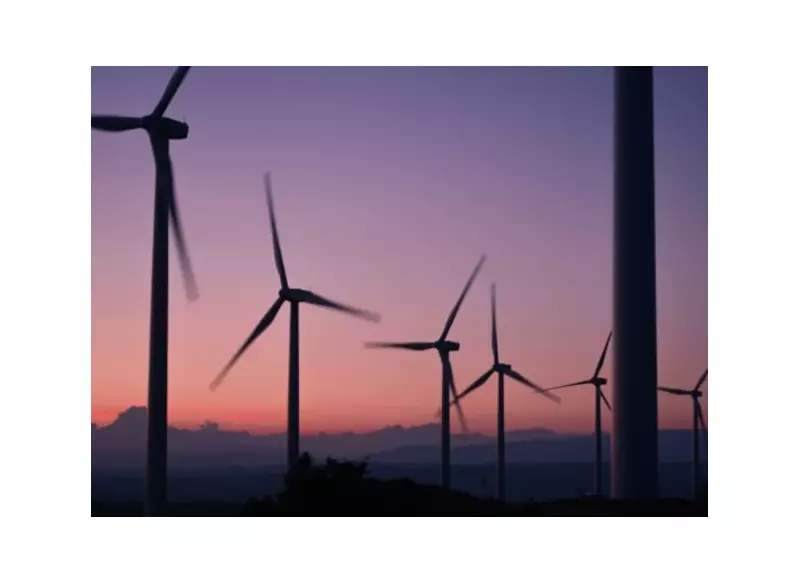 Chatham-Kent Councillor Moves to Block Future Wind Farm Development in Municipal Territory