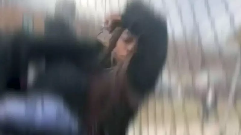 Chicago Community Outraged After Mob of Children Attacks Mother and Son