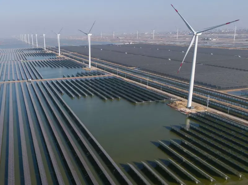 China's AI Edge: Renewable Energy Power, Not Chips, Key Says HSBC